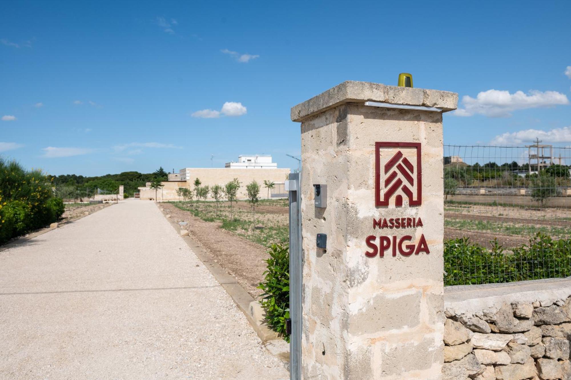 Masseria Spiga Gravina in Puglia Exterior photo