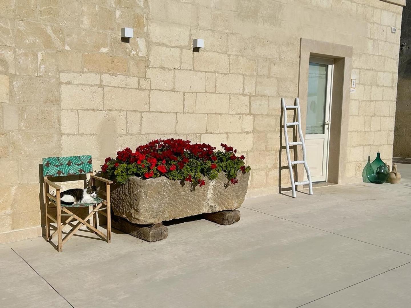 Masseria Spiga Gravina in Puglia Exterior photo