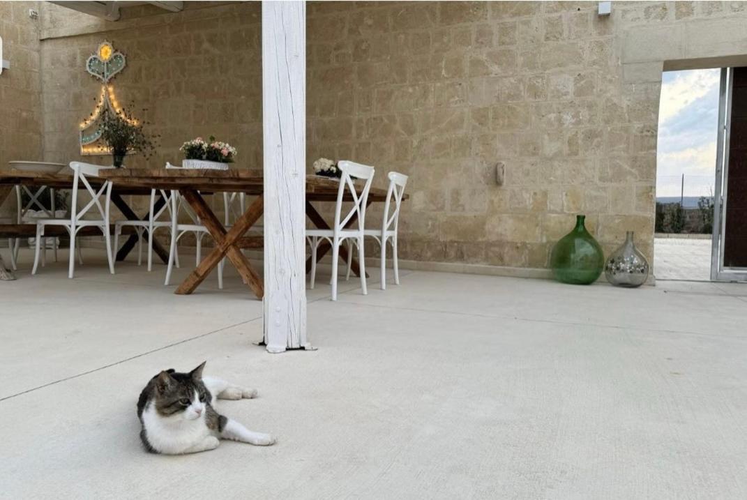 Masseria Spiga Gravina in Puglia Exterior photo