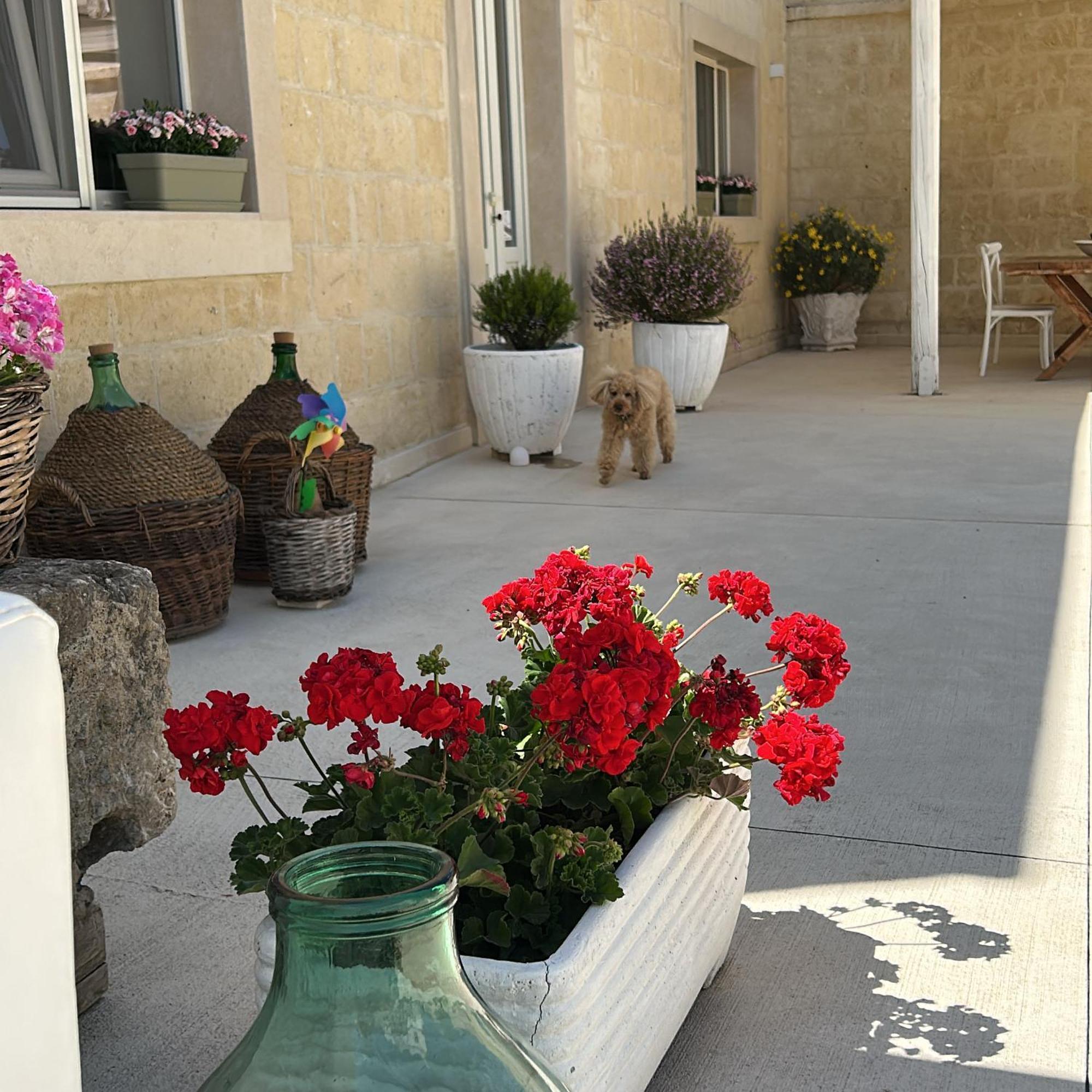 Masseria Spiga Gravina in Puglia Exterior photo